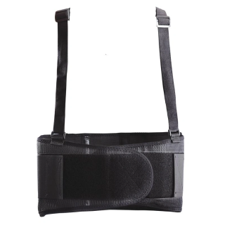 Back Support 49-53"W Mustang