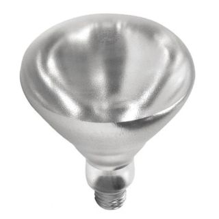 Heat Lamp Bulb 250 Watt Clear Coated