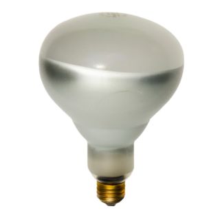 Heat Lamp Bulb 125 Watt Clear Coated